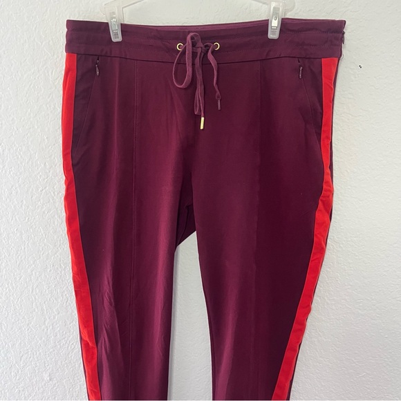 Anthropologie The Essential Slim Wine Red Striped Trouser Pants Size 10 - Picture 6 of 16